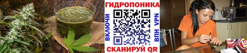 Canna-Cookies конопля  Междуреченск 