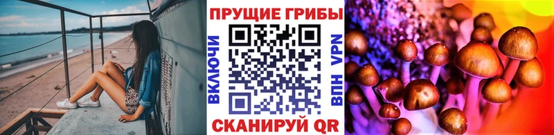 Галлюциногенные грибы мухоморы Междуреченск